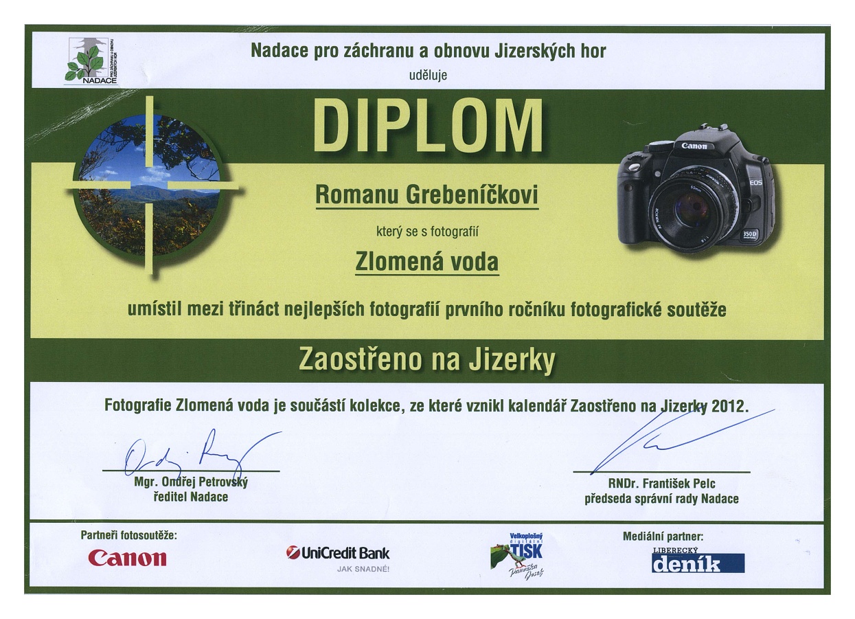 diplom 1