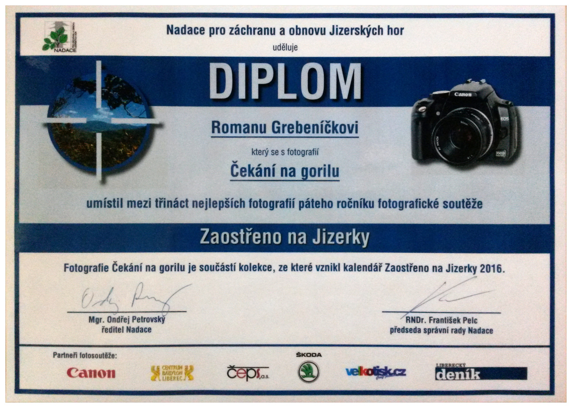 diplom 3