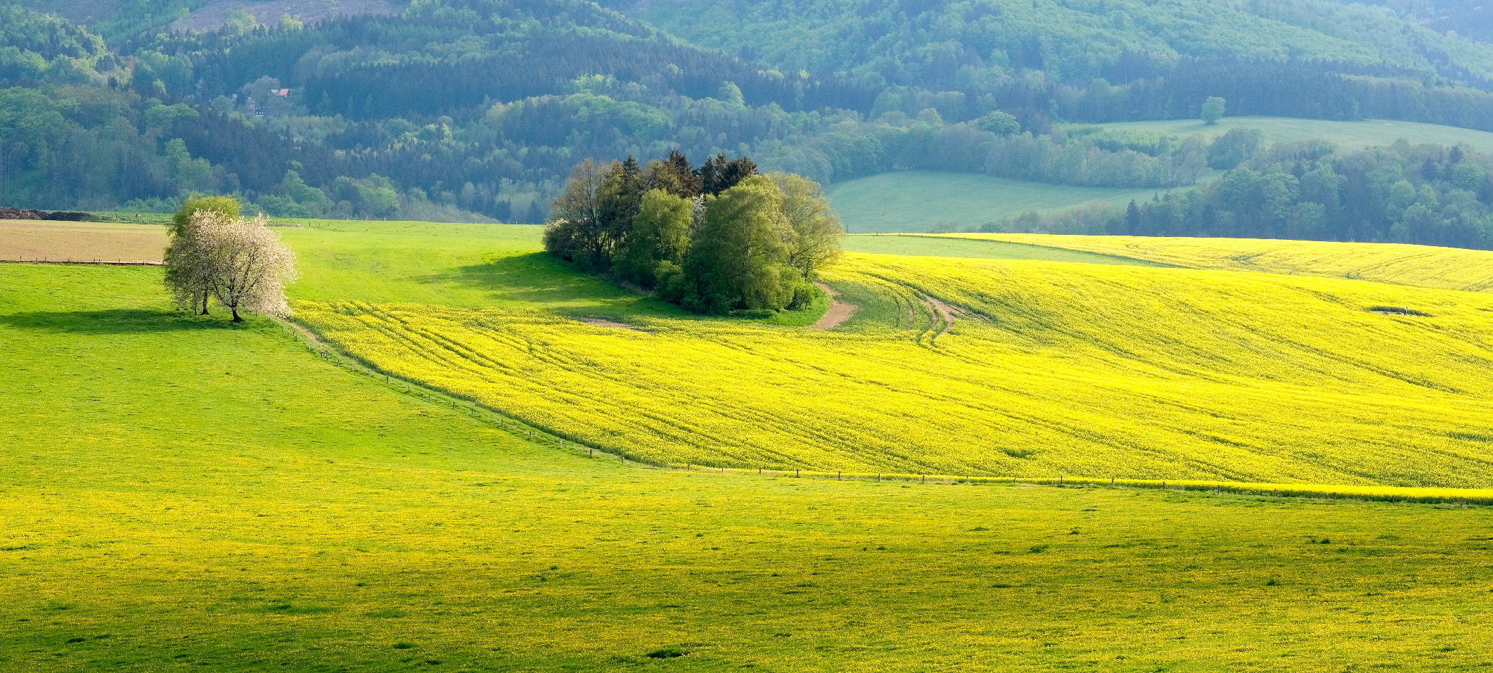 Jarní vlny