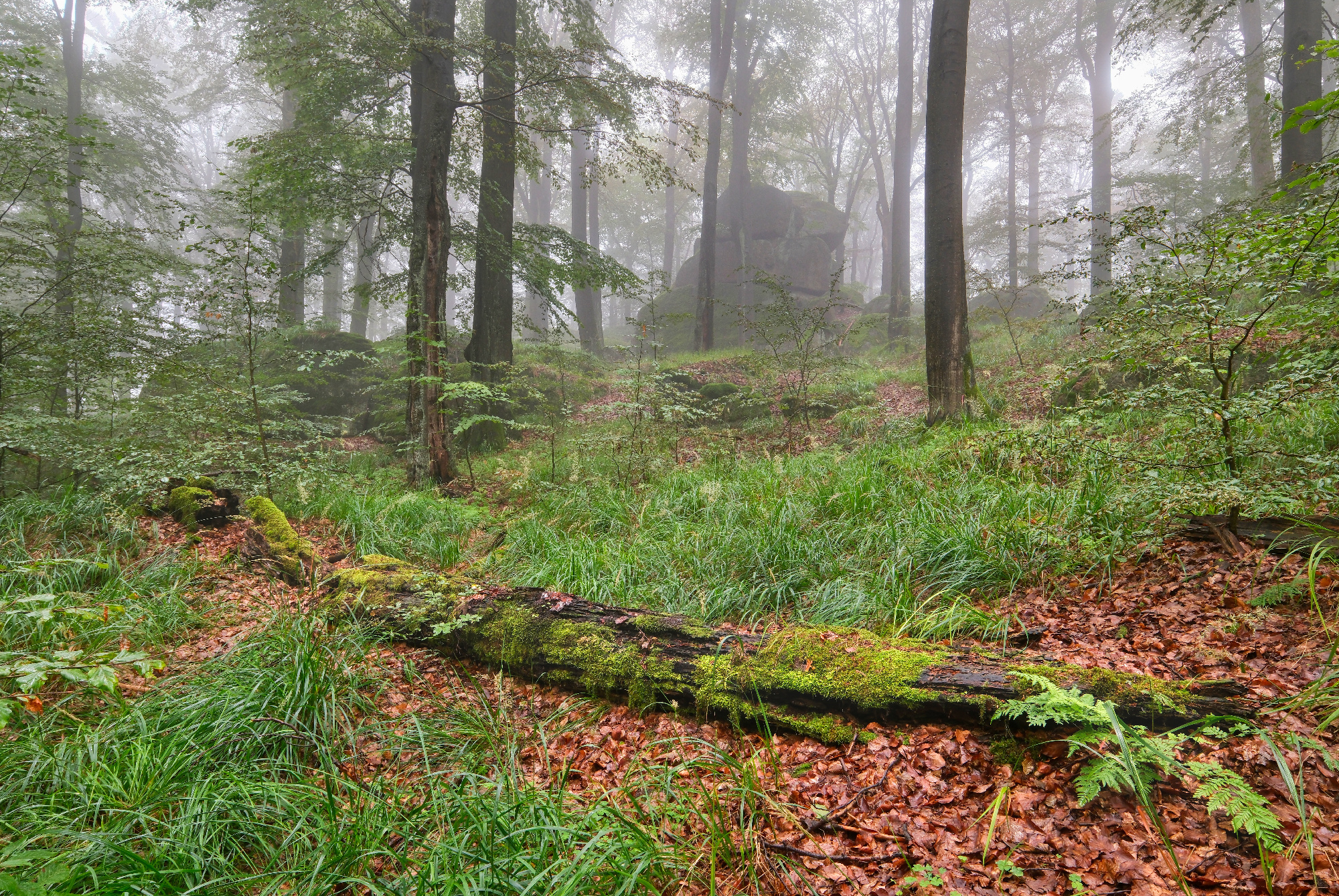 Stržový vrch I.