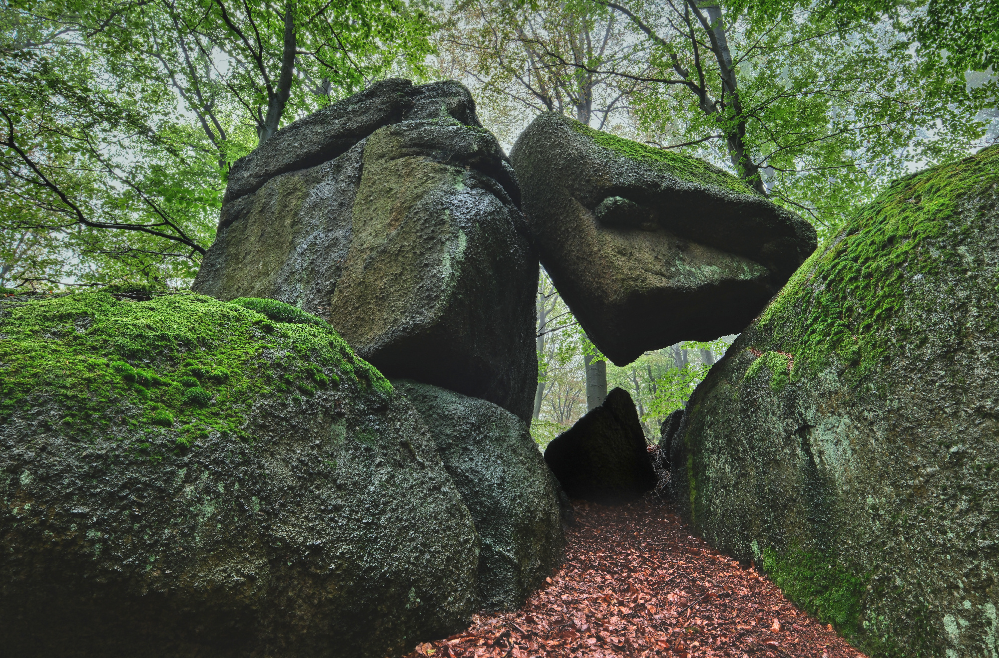 Stržový vrch II.