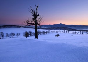 pred-velkou-cestou--3-.jpg